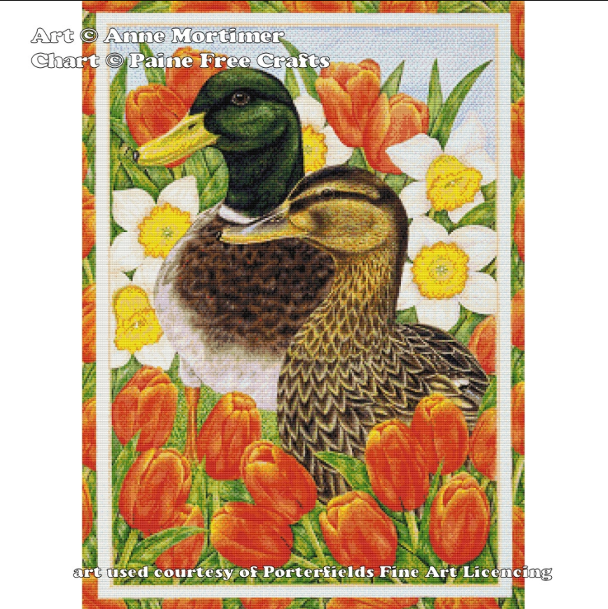 (image for) Ducks and Tulips